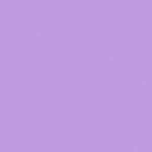 Meet your Posher, Maggie